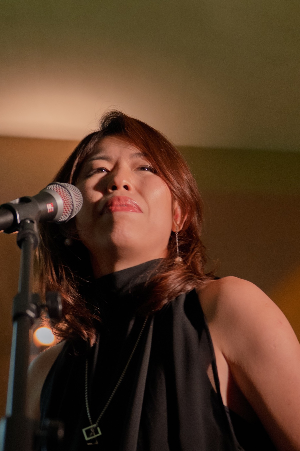 A vocalist performing beneath the stage lights